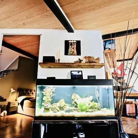 G.a.p. Aquarium Pentahouse Apartman