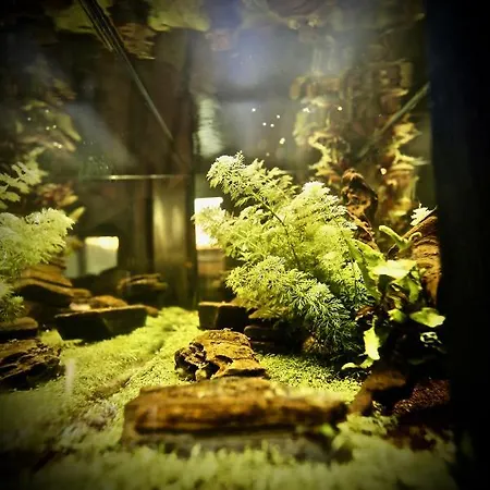 公寓 G.a.p. Aquarium Pentahouse *