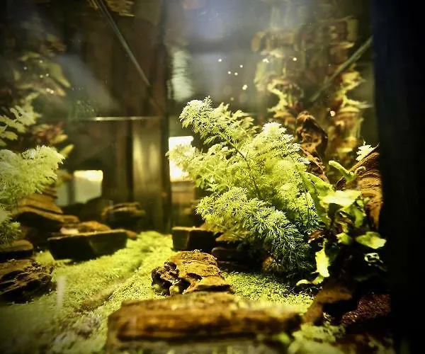 Apartmán G.a.p. Aquarium Pentahouse *