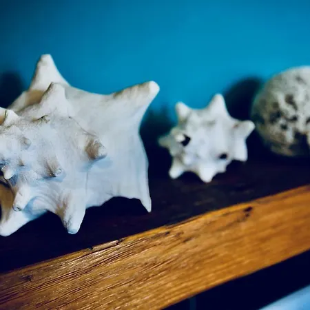 Διαμέρισμα G.a.p. Aquarium Pentahouse *