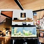 G.a.p. Aquarium Pentahouse Daire